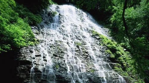 节能电子高效